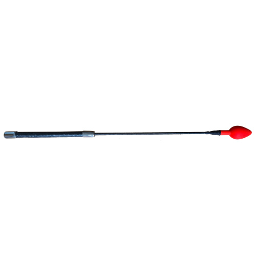 Reitgerte anal plug