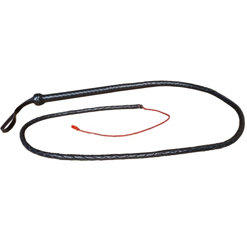 lange Lederpeitsche roter String