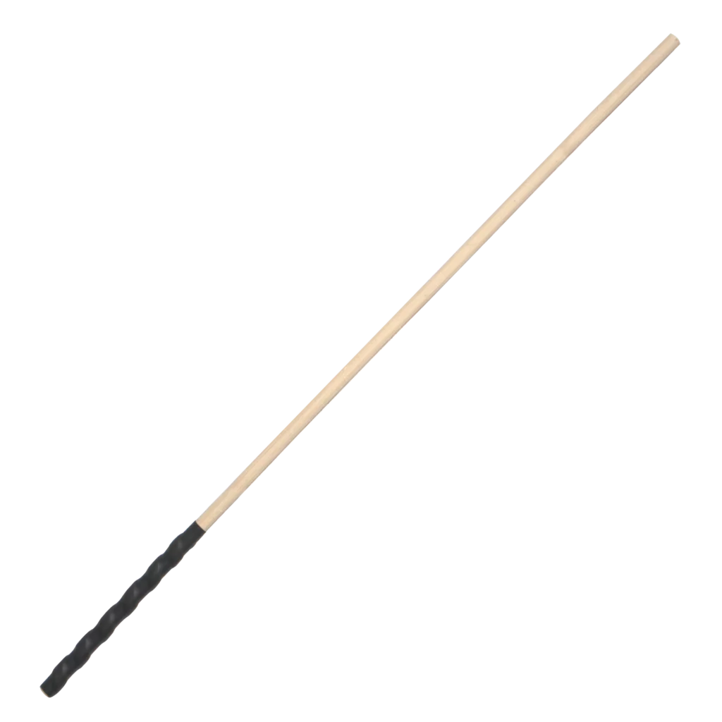 Schilfrohr