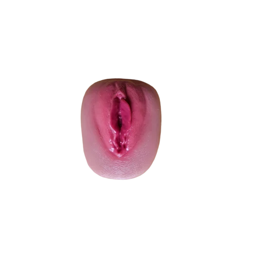 Píča na monitor, ledničku