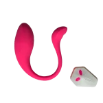 Love Spice Whale Egg RC App
