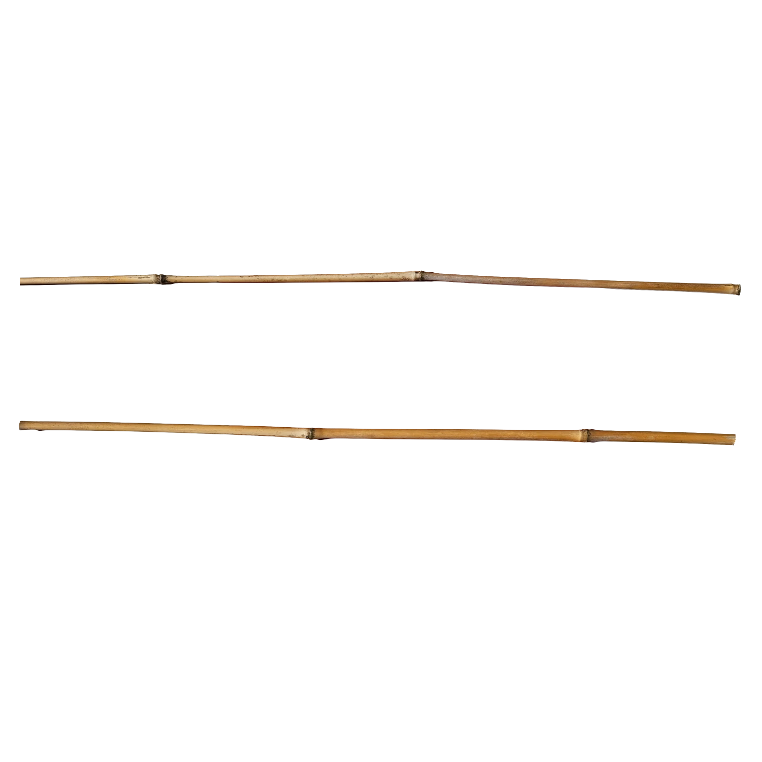 Krušovická rákoska 60 cm (při koupi 2 + 1 zdarma)